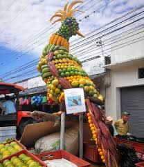 Fruits Parade Granada Meta Colombia Festival De La Cosecha Plantas Alimenticias Aves Tropicales