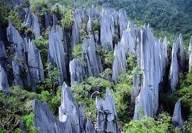 Malaysia's smallest and youngest national park is located on the northwestern tip of penang island—a 10 square mile parcel of land. Mystical Caves Of Gunung Mulu National Park Malaysia Malesia Immagini Luoghi