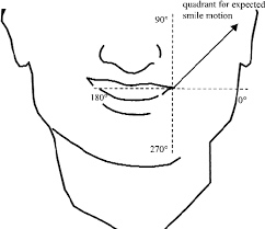 A point where the muscles of the face cross at each side of the mouth: Horizontal And Vertical Axes Through The Left Modiolus E G Corner Of Download Scientific Diagram