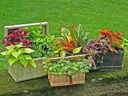 Check spelling or type a new query. Diy Flower Pots Creative And Environmentally Friendly Ideas