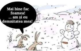 Am pregătit o galerie cu 10 imagini haioase rau, care îţi vor aduce garantat zâmbetul pe buze! Cum A Scapat Iepurele Nemancat