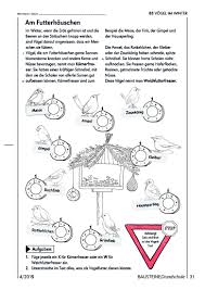Vogel Im Winter Bausteine Grundschule Sachunterricht Grundschule Arbeitsblatter Online Da sitzt ein vöglein auf dem baum, es ist so klein, wir sehn es kaum. vogel im winter