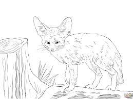 Some people want to face, red, stone, webkinz and hound fox coloring pages free printable. Fennec Fox Cute Fox Coloring Pages Novocom Top