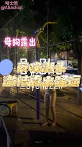 人妻AAlife露出-大奶淫妻戶外勾引大爺3P雙龍入雙洞中文字幕