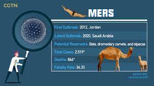 Obesity is generally caused by eating too much and moving too little. Epidemics And Wildlife Can We Drink Camel Milk Amid Mers Outbreaks Cgtn