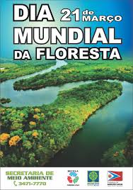 A onu instituiu o dia 21 de março, como o dia internacional de luta pela eliminação da discriminação racial. 21 De Marco Dia Mundial Das Florestas Sincomercio