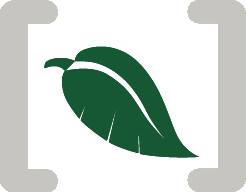 Image result for Rytigynia lewisii