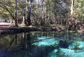 Most trails are easy to moderate and include sightings of local wildlife. Ruth B Kirby Gilchrist Blue Springs State Park Florida State Parks