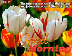 Good Morning Wishes With Flowers Images Flowers Good Morning Wishes Tulips