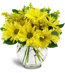 Choose from classic roses, soft lilies and more. Bridgeport Ct Florist Free Flower Delivery In Bridgeport Ct Fruits Flowers