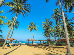 Maybe you would like to learn more about one of these? Best Of Lanka On Twitter Beach Destinations Sri Lanka Marawila Beach Srilanka Lka Tourism Ttot Travelagent Traveltips Traveling Travelblogger Srilanka Tourisme Tourist Ttot Follow4followback Follow4f Follow4like Beach Marawila