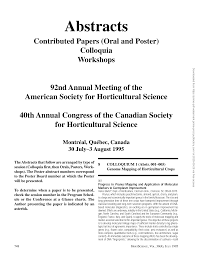 Image result for Coleus betonicifolius