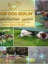 Good Dog Berlin - English Dog Owner Coaching | By Good Dog ...