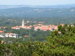 Secondo i viaggiatori di tripadvisor, i migliori tour di un giorno da trieste sono: Prosecco Trieste Wikipedia