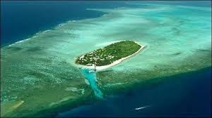 Bbc News Asia Pacific Wanted Paradise Island Caretaker Paradise Island Island Great Barrier Reef