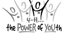 See more ideas about 4 h, 4 h club, 4 h clover. Https Aces Nmsu Edu 4h Documents Officer Manual Pdf