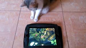 Kitty Fishing Again On Ipad Ipad Games Kitten Fish