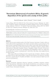 Image result for Ethulia vernonioides