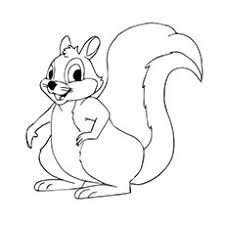 Download and print out this squirrel coloring page. Top 25 Free Printable Squirrel Coloring Pages Online