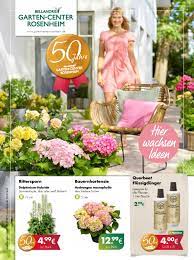 Wer seinen garten liebt muss meist schwitzen. Garten Center Rosenheim Hier Wachsen Ideen By Ovb24 Gmbh Issuu