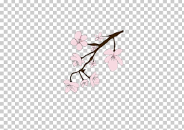 Almost files can be used for commercial. T Shirt Cherry Blossom Flower Png Clipart Anime Blossom Body Jewelry Branch Cherry Blossom Free Png