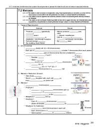 Some of the worksheets for this concept are 114 meiosis section 114, section 11 4 meiosis work answers, section 11 4 meiosis work answers, 11 4 meiosis answer key, 11 4 meiosis work answers, chapter 11 4 meiosis, 11 4 meiosis answer key pdf, 11 4 meiosis answer key. Meiosis Guided Notes Worksheets Teaching Resources Tpt