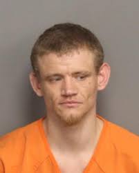 Arrest Report for February 25