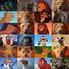 Lions are considered to be the king of the jungle due to their size, strength and numbers and because they don't fear any other animal. Lion King Characters