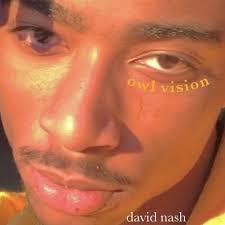 Stream owl vision by David Nash