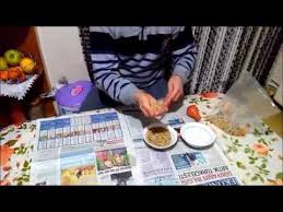 Guvercin Besleme Pompasi Kullanimi Guvercin Yetistiriciligi Youtube