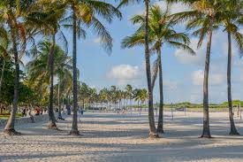 Tiempo Miami En Abril 2021 Temperaturas Clima