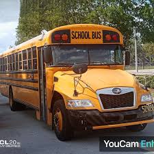 Image result for Yellow 2022 Fleet