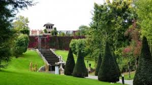 Consegne a domicilio e tanta professionalità. Mondo Verde In Landgraaf Infos