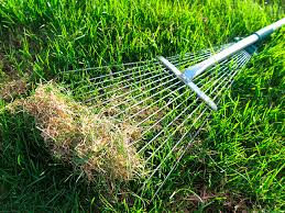 Just pull the thatch rake across the lawn and then remove and toss the debris. Spring Tips From Ryobi To Keep Your Lawn Happy