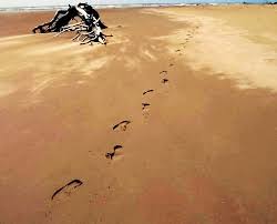 Unseen Footprints. — Abiding Faith Lutheran Church