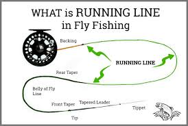 What Is Running Line In Fly Fishing Is It Different Than
