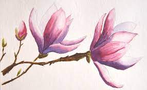 Şunlar için 1 sonuç kitap : Die Kunst Der Aquarellmalerei Part 2 Aquarell Aquarellmalerei Aquarellbilder