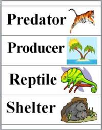 Animals Science Word Wall Cards Science Words Science Word Wall Science Word Wall Cards