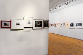 Bildergebnis für Nils Norman