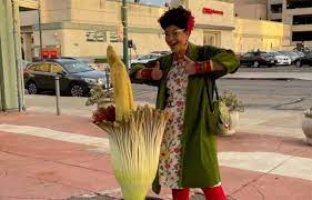 Rare Corpse Flower Shows Up At Abandoned Gas Station In Alameda And Residents Line Up For Photos California News Times