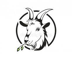 Head Of Goat On White Background Stock Vector Affiliate White Goat Head Vector Ad Goat Art Goat Picture Goat Logo