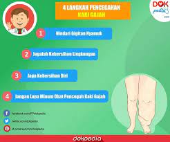 Umbel ile bağlantı kurmak için hemen facebook'a kaydol. Dok Pedia Dokpedia Profil Pinterest