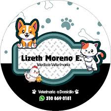 Servicio veterinario a domicilio Dogtora Cat