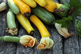 When to plant zucchini seeds in california. How To Grow Zucchini Guide Install It Direct