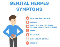Image result for genital herpes