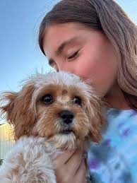 成 dB Leavenworth Co. Neighbor... 9+ 9+ Barb Hoover 7h Is anyone missing  this cat? He/she has been hanging around