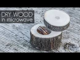 How To Dry Wood Fast Youtube How To Dry Wood Wood Bowls Carving Wood Carving For Beginners