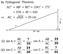 6th grade social studies worksheets. Ncert Solutions For Class 10 Maths Chapter 8 Introduction To Trigonometry Ex 8 1 Cbsetuts Com
