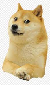 Download transparent doge png for free on pngkey.com. Doge Meme Png Doge Meme Doge Dog Doge