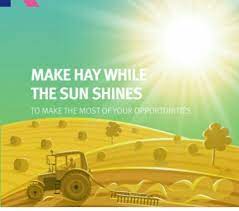 They eventually began to use the phrase generally to mean to take advantage of circumstances before the chance slips away. Make Hay While The Sun Shines Essay Writing Service